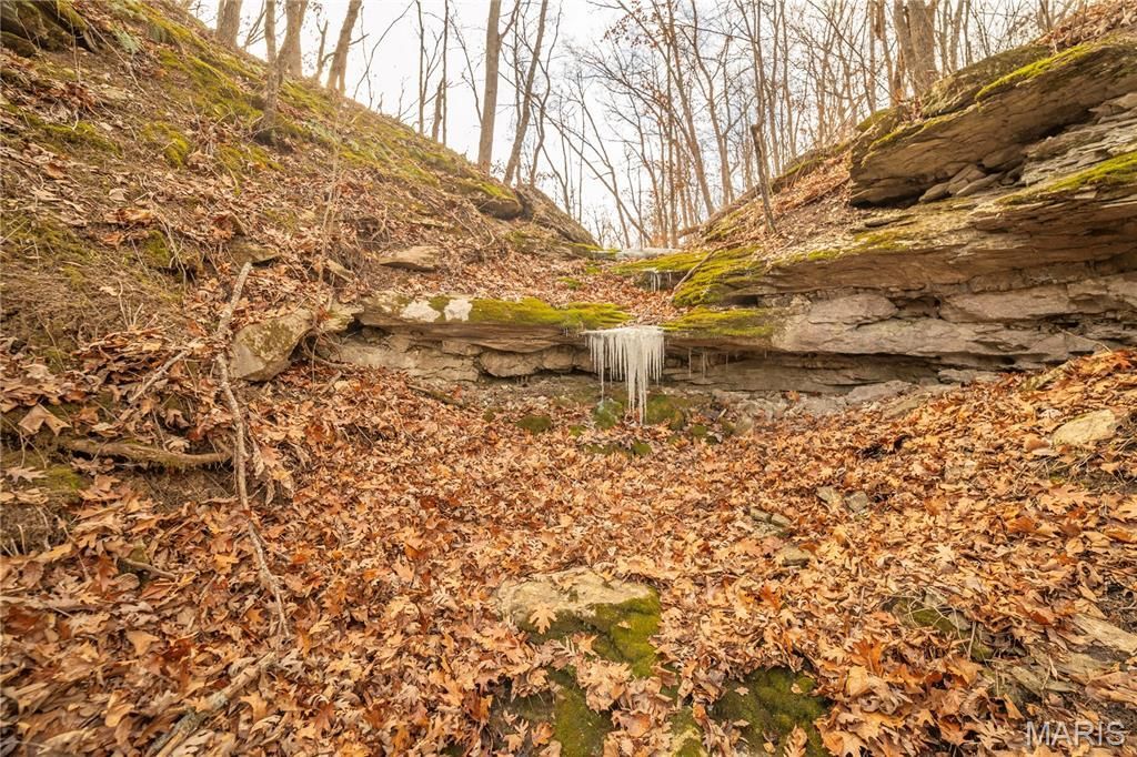 00 Collins R Collins Rd, Bellflower, MO 63333 Main Photo