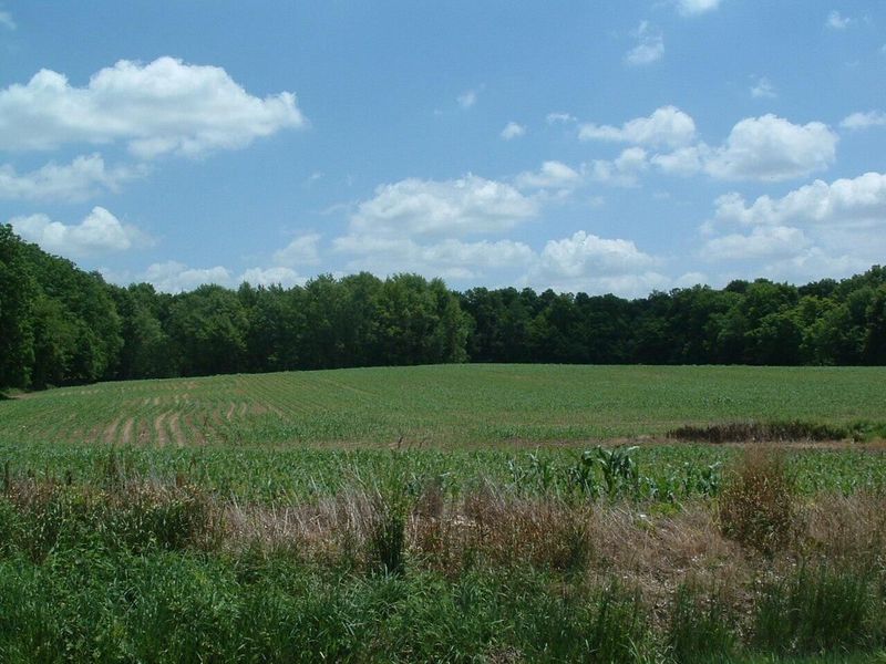 0 Clover Valley Road NW, Johnstown, OH 43031 Photo 1