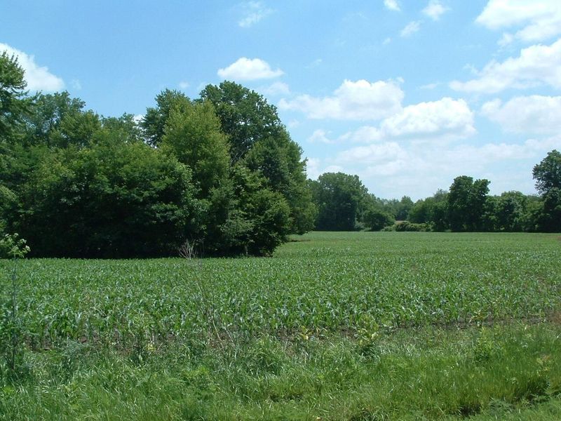 0 Clover Valley Road NW, Johnstown, OH 43031 Photo 10