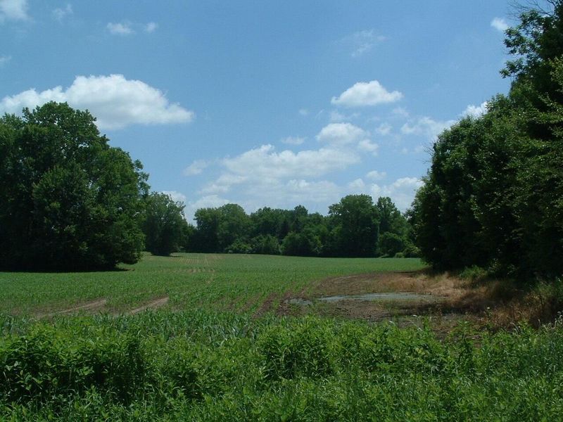 0 Clover Valley Road NW, Johnstown, OH 43031 Photo 12