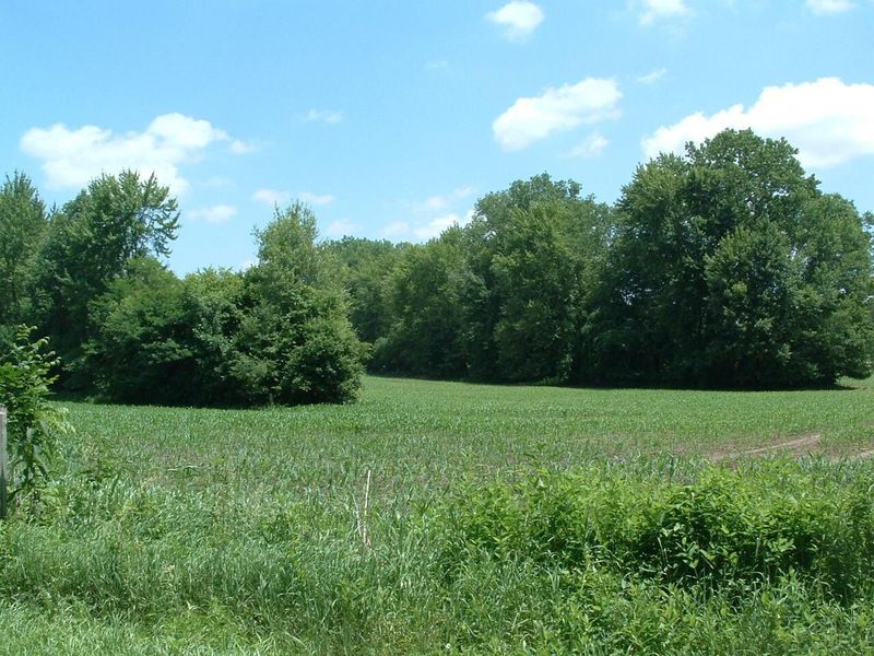 0 Clover Valley Road NW, Johnstown, OH 43031 Photo 13