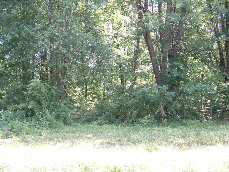 0 Clover Valley Road NW, Johnstown, OH 43031 Photo 16