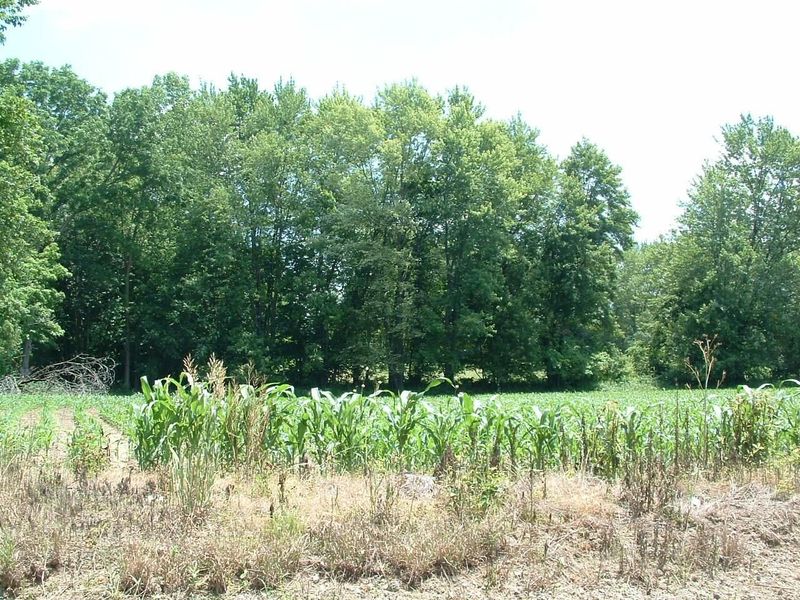 0 Clover Valley Road NW, Johnstown, OH 43031 Photo 5