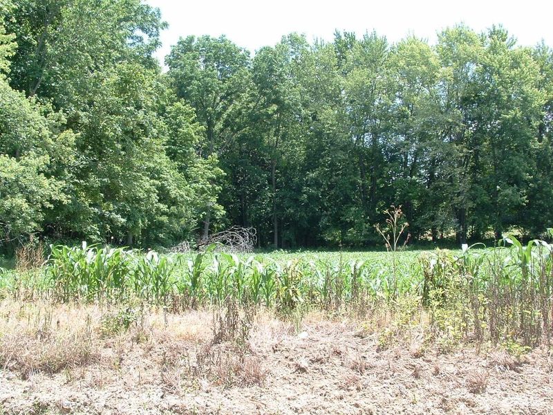 0 Clover Valley Road NW, Johnstown, OH 43031 Photo 6