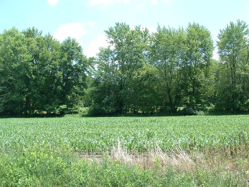 0 Clover Valley Road NW, Johnstown, OH 43031 Photo 8