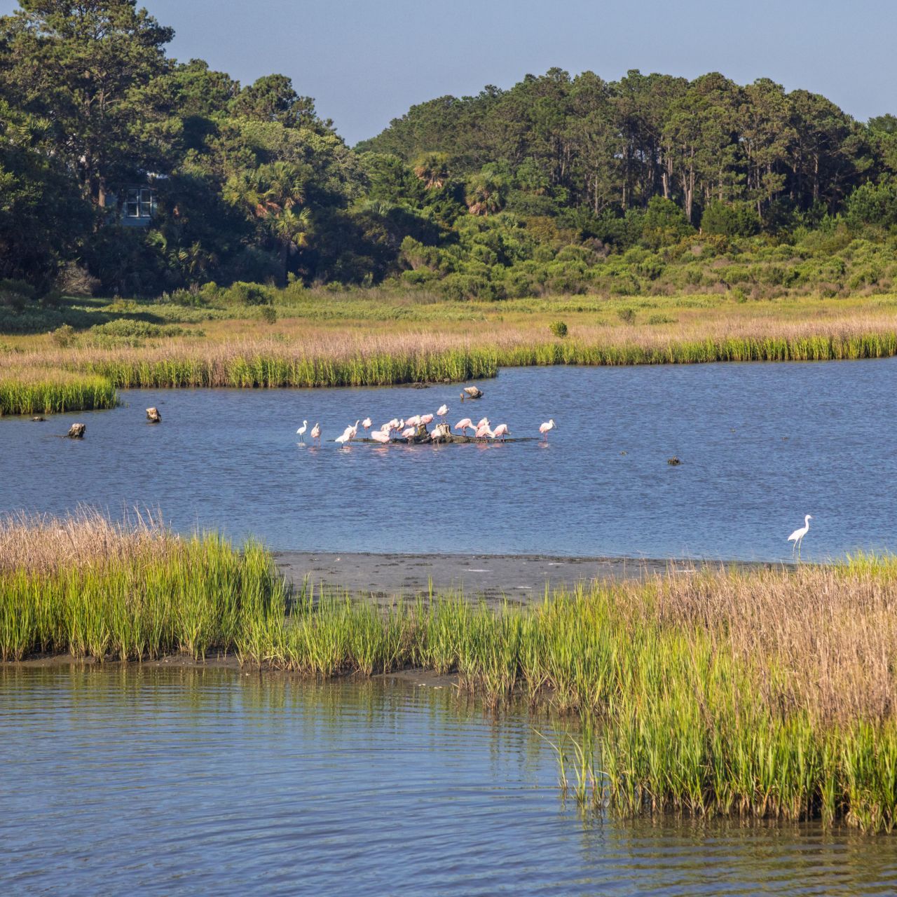 226 Old House Lane Photo 38