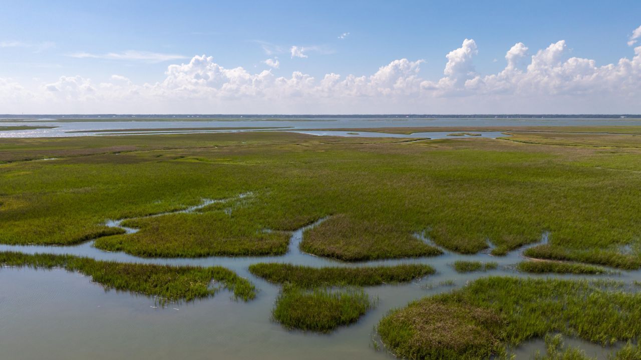 226 Old House Lane Photo 39