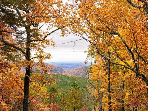 0 Worley Road, Soddy Daisy, TN 37379