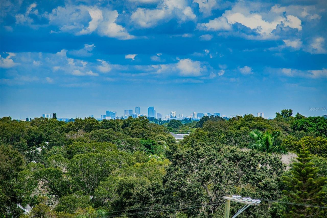 841 4th Avenue N, Unit 21, Saint Petersburg, FL 33701 Photo