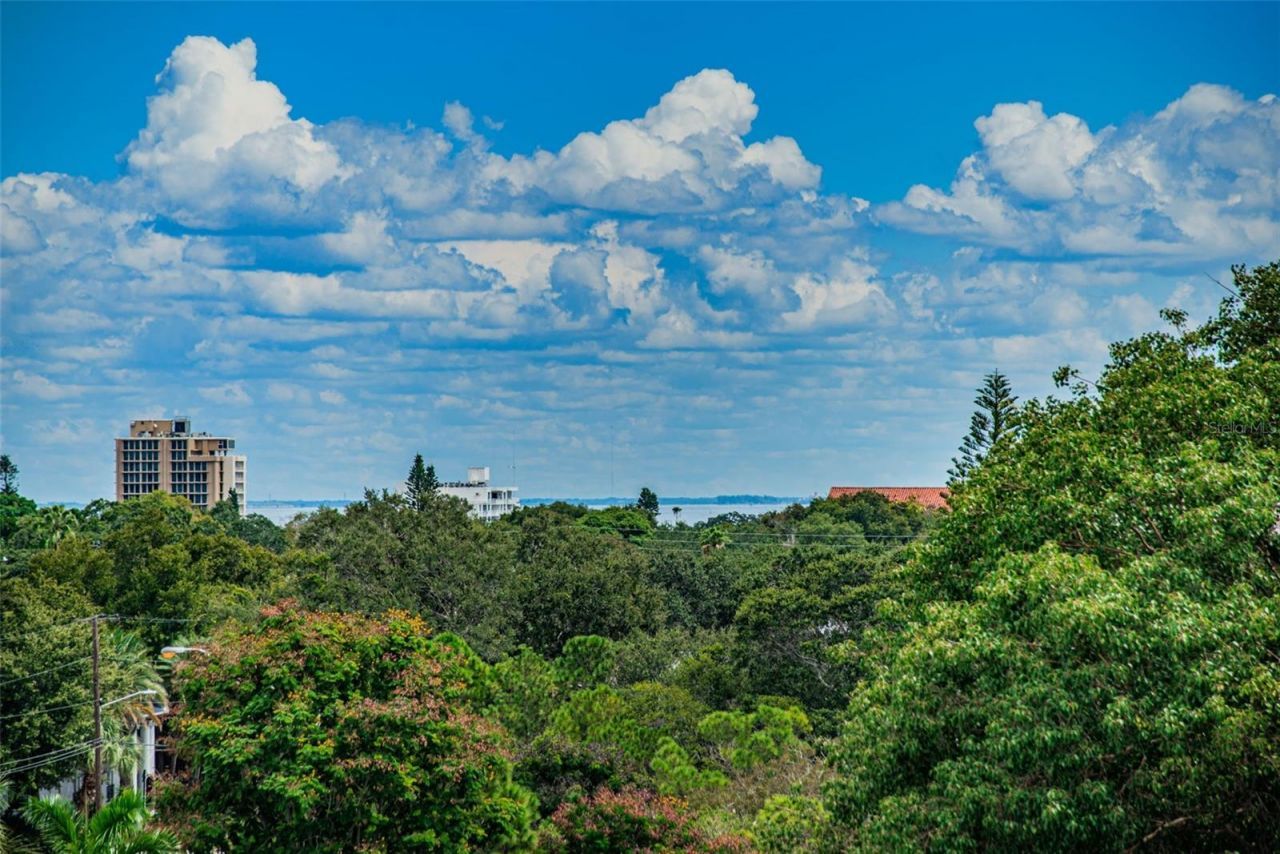 841 4th Avenue N, Unit 21, Saint Petersburg, FL 33701 Photo