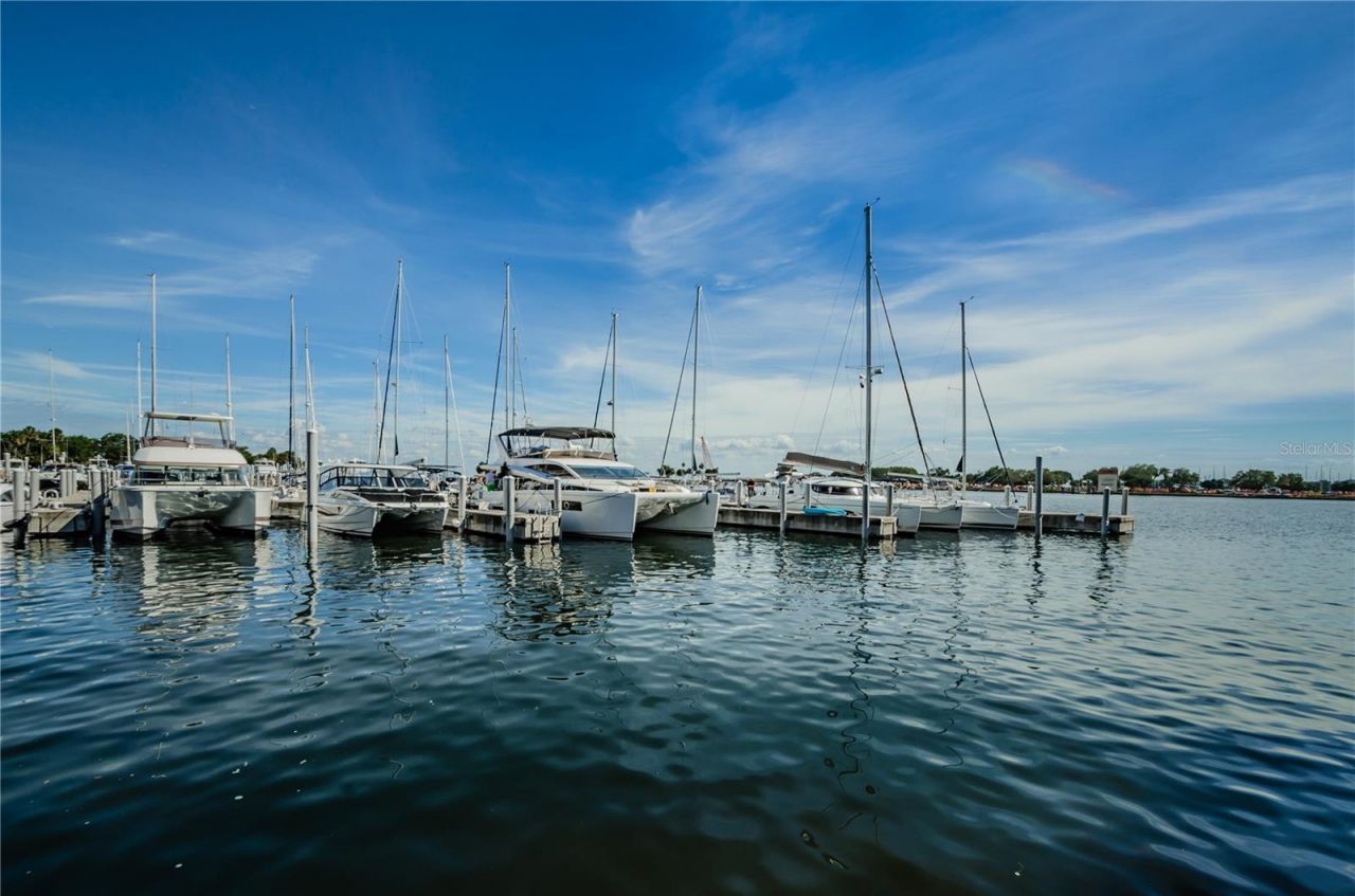 841 4th Avenue N, Unit 21, Saint Petersburg, FL 33701 Photo