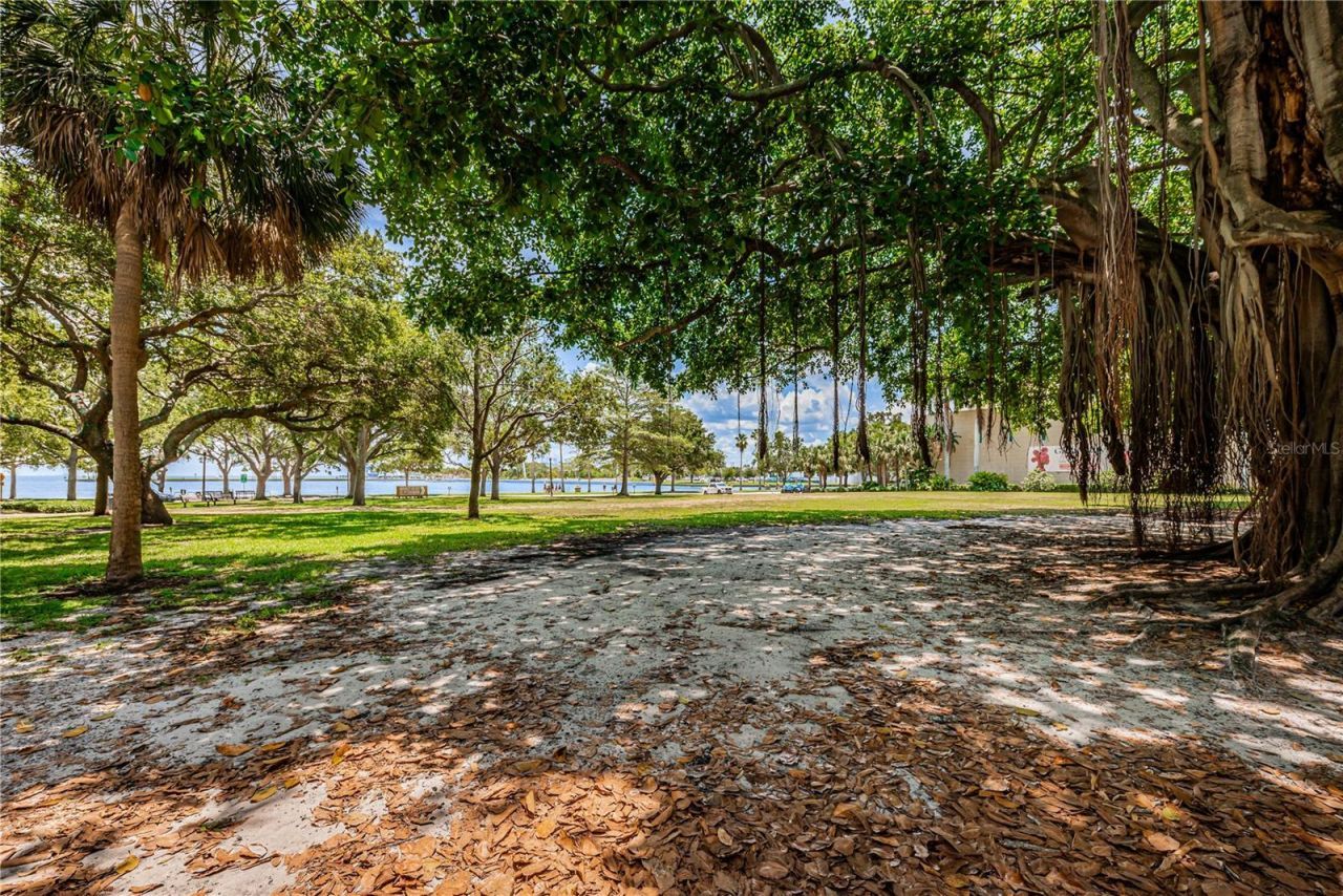 841 4th Avenue N, Unit 21, Saint Petersburg, FL 33701 Photo