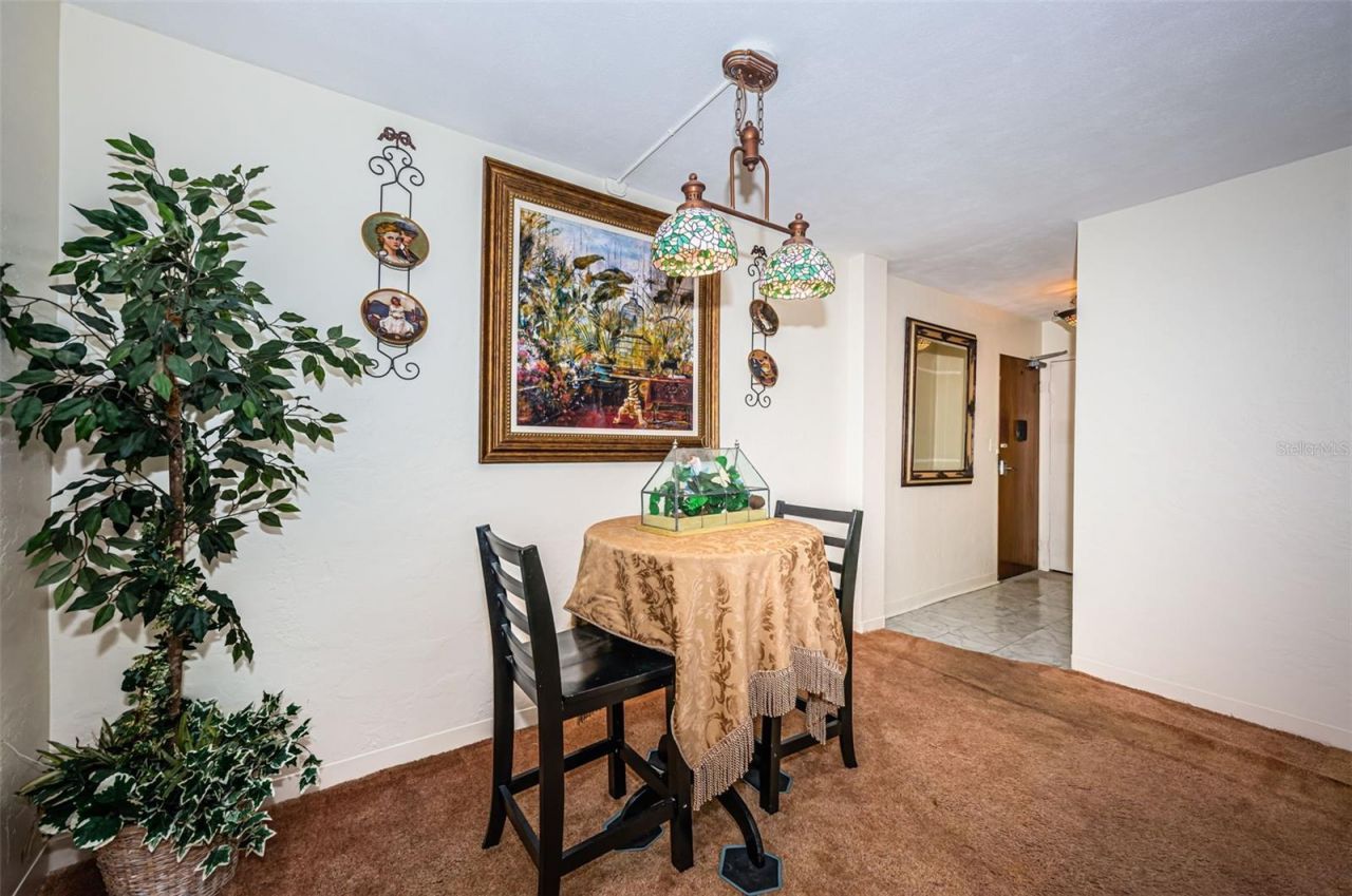 841 4th Avenue N, Unit 21, Saint Petersburg, FL 33701 Photo