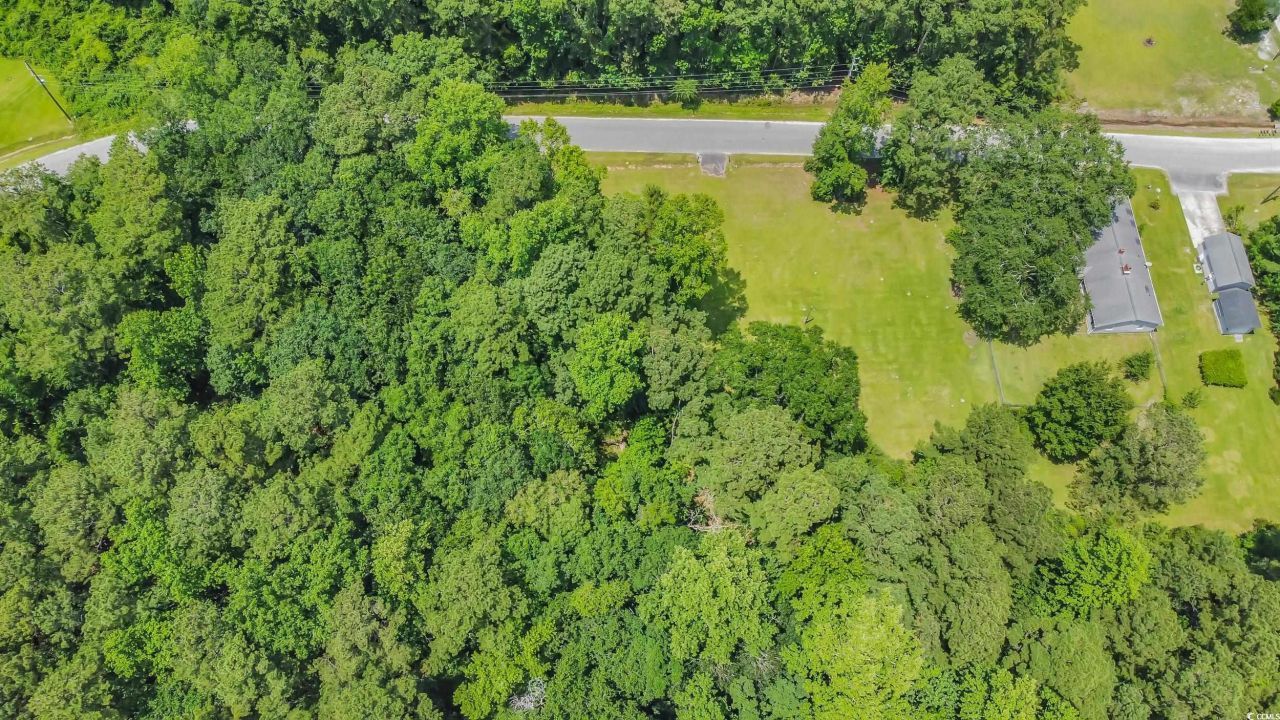 11859 Highway 707 Photo 8