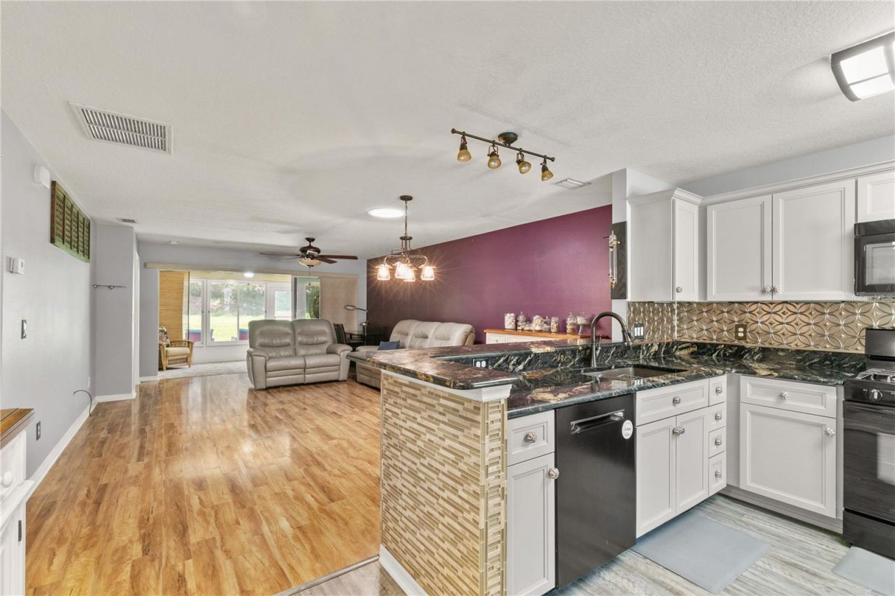 26917 White Plains Way, Leesburg, FL 34748 Photo
