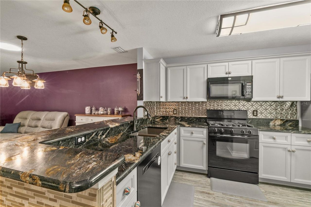 26917 White Plains Way, Leesburg, FL 34748 Photo