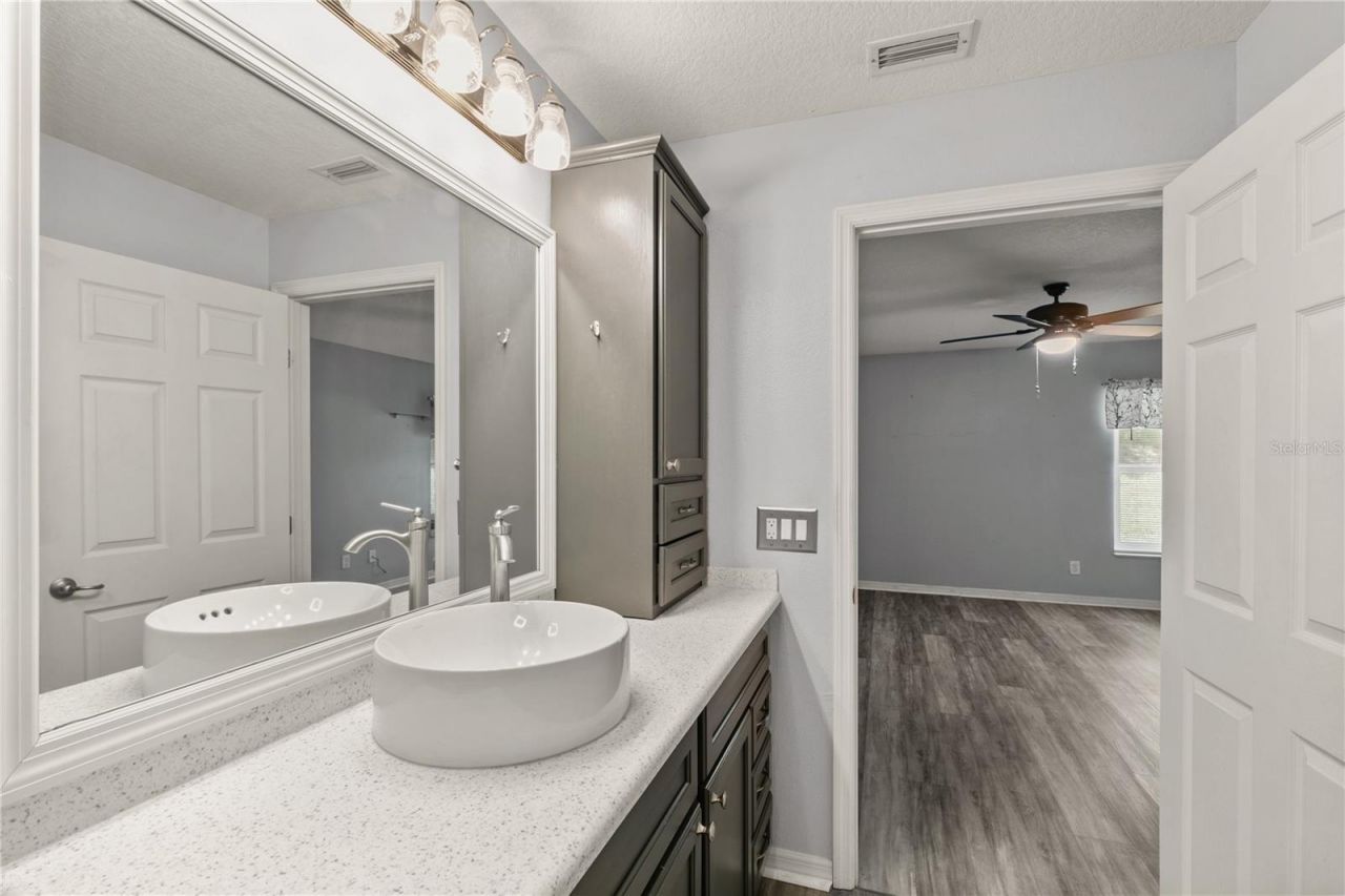 26917 White Plains Way, Leesburg, FL 34748 Photo
