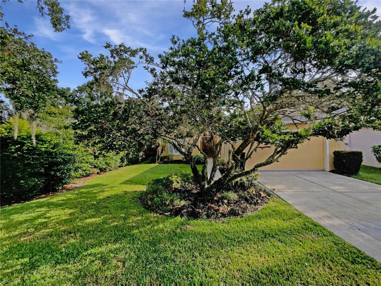 109 Greentree Lane, Yalaha, FL 34797 Photo