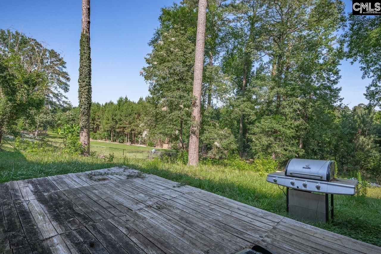 156 Lake Elizabeth Drive Photo 39