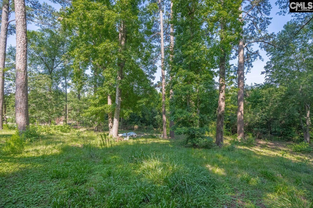 156 Lake Elizabeth Drive Photo 43