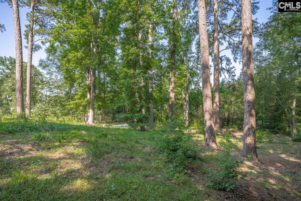 156 Lake Elizabeth Drive Photo 44