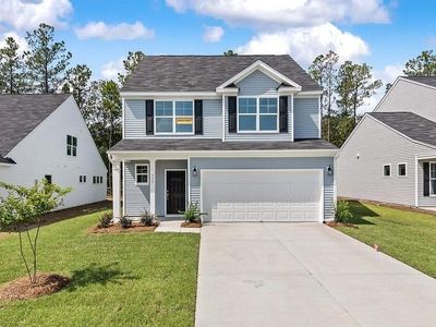 117 Palfrey Drive, Ridgeville, SC 29472