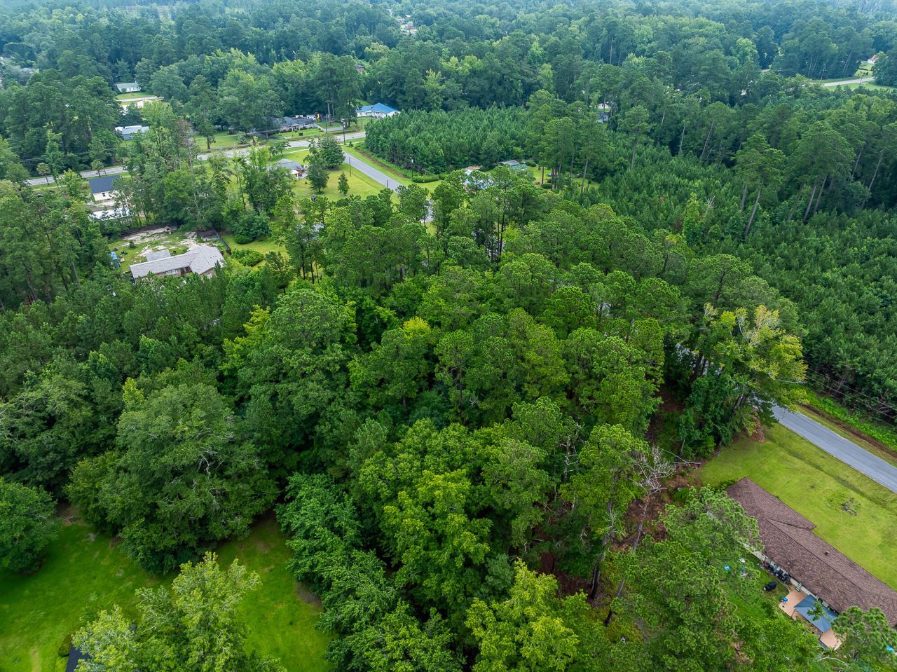 230 Appleby Avenue Photo 6