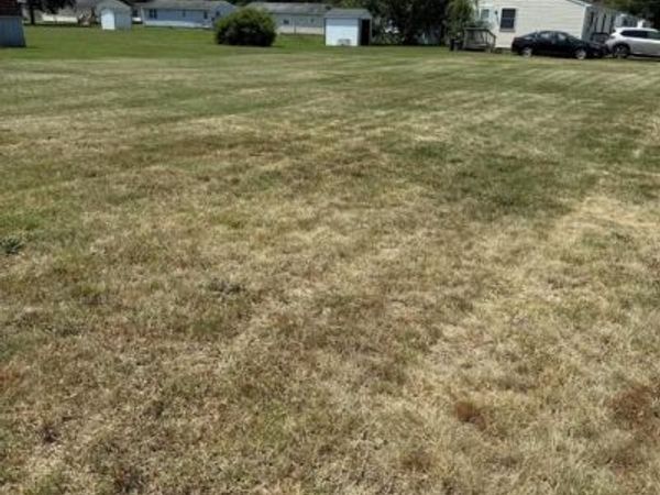 207 & 209 N DULANY AVENUE, FRUITLAND, MD 21826