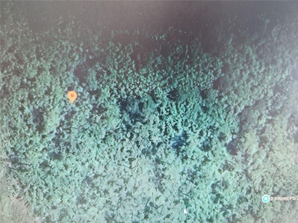 HOLOPAW GROVES ROAD, ST CLOUD, FL 34771