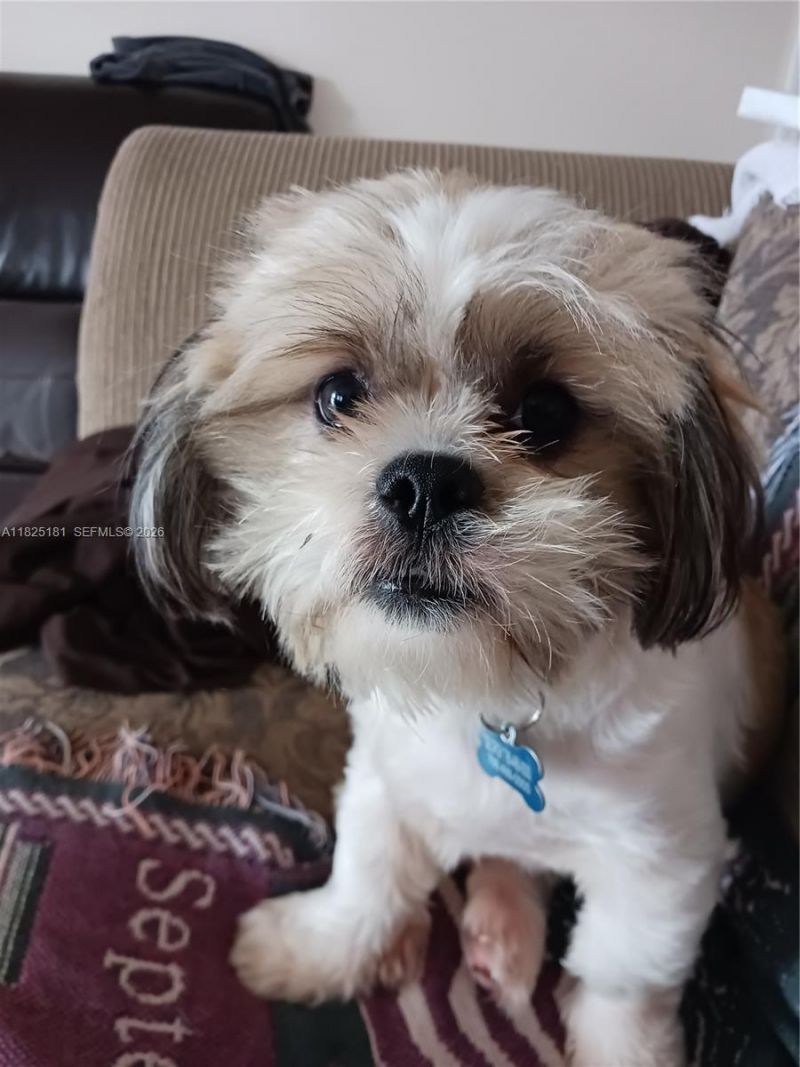 2701 SE 12th Pl, Unit 106, Homestead, FL 33035 Photo