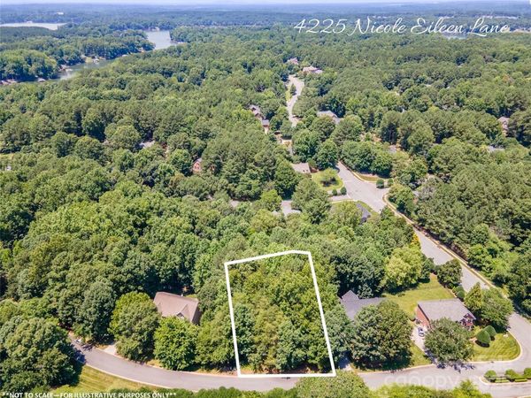 4225 Nicole Eileen Lane, Charlotte, NC 28216