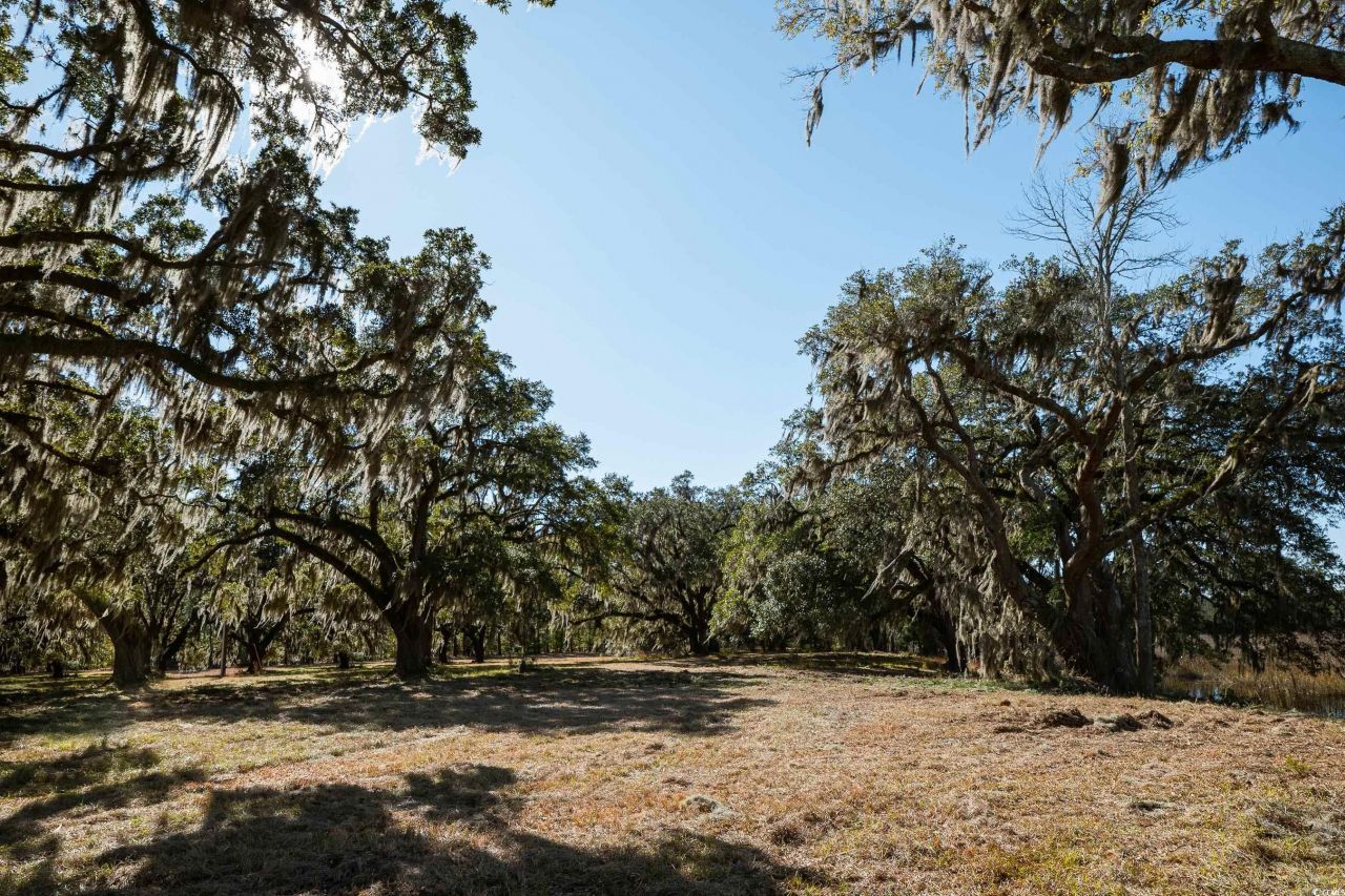 1939 Mauricena Rd. Photo 13
