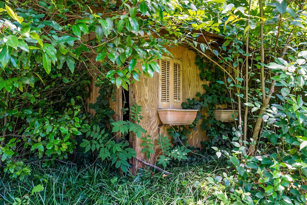 4512 Carolina Highway Photo 49