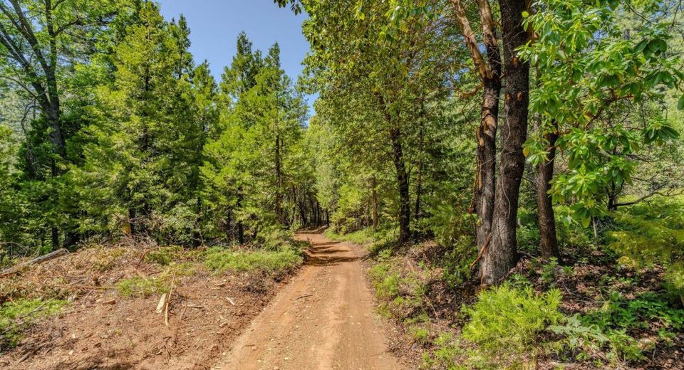 Please Call For Address, Pioneer, CA 95666 Photo