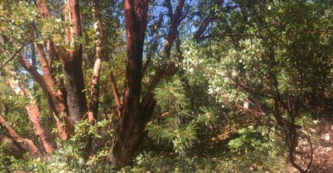 Please Call For Address, Pioneer, CA 95666 Photo