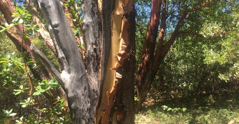 Please Call For Address, Pioneer, CA 95666 Photo