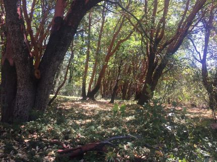 Please Call For Address, Pioneer, CA 95666 Photo