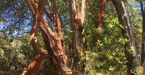 Please Call For Address, Pioneer, CA 95666 Photo