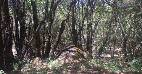 Please Call For Address, Pioneer, CA 95666 Photo