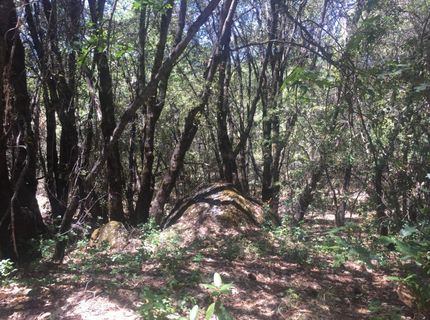 Please Call For Address, Pioneer, CA 95666 Photo