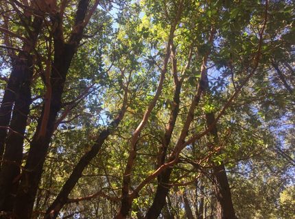 Please Call For Address, Pioneer, CA 95666 Photo