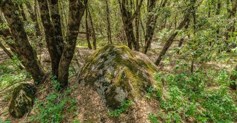 Please Call For Address, Pioneer, CA 95666 Photo