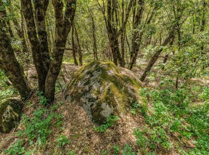 Please Call For Address, Pioneer, CA 95666 Photo