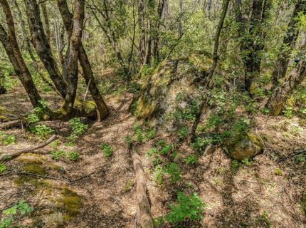 Please Call For Address, Pioneer, CA 95666 Photo