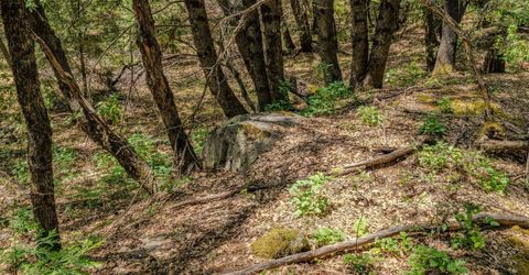 Please Call For Address, Pioneer, CA 95666 Photo