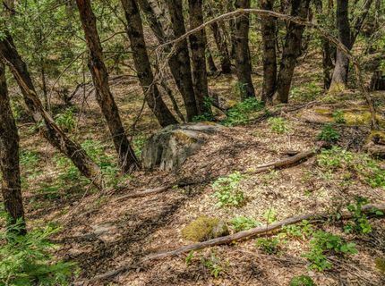 Please Call For Address, Pioneer, CA 95666 Photo