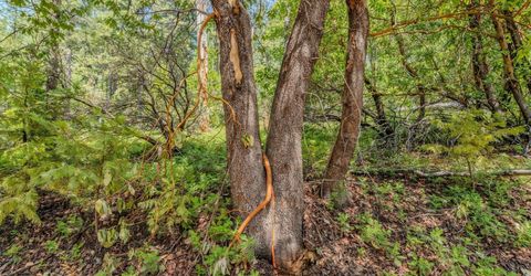 Please Call For Address, Pioneer, CA 95666 Photo