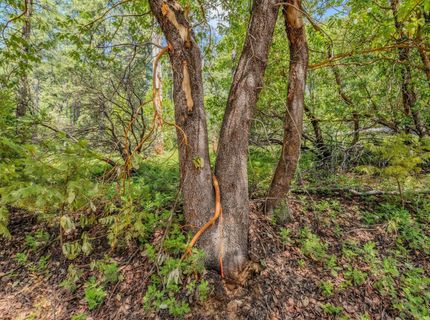 Please Call For Address, Pioneer, CA 95666 Photo