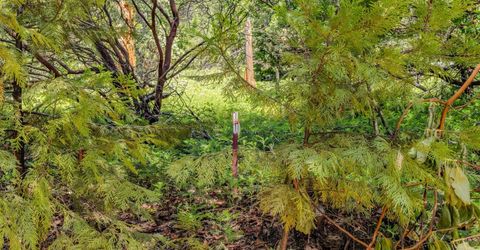 Please Call For Address, Pioneer, CA 95666 Photo