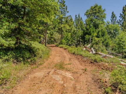 Please Call For Address, Pioneer, CA 95666 Photo